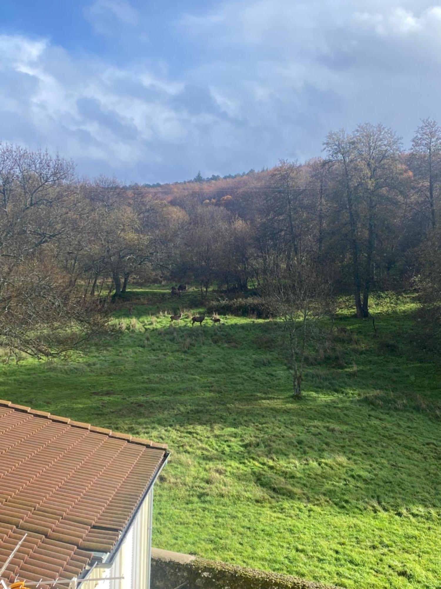 Casa Del Bosque Lägenhet Béjar Exteriör bild